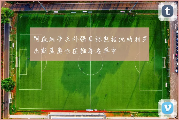 阿森纳寻求补强目标包括托纳利罗杰斯莱奥也在推荐名单中