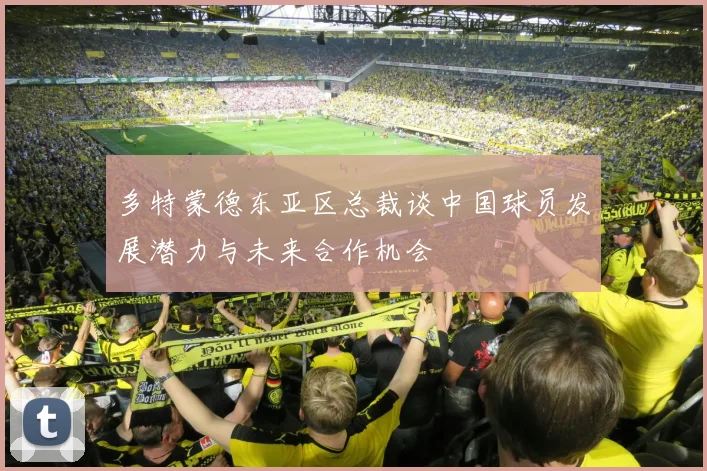 多特蒙德东亚区总裁谈中国球员发展潜力与未来合作机会